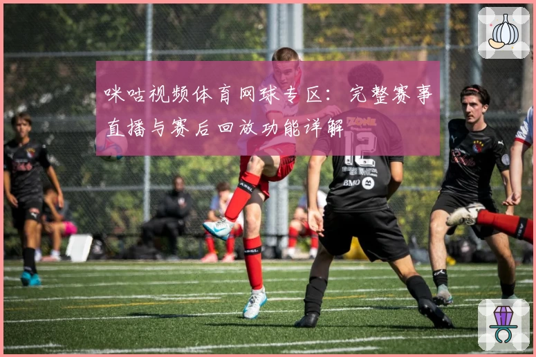 咪咕视频体育网球专区：完整赛事直播与赛后回放功能详解